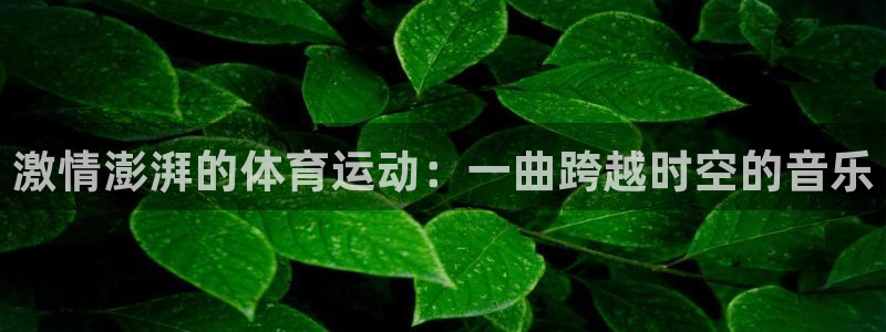 喜乐在线平台：激情澎湃的体育运动：一曲跨越时空的音乐