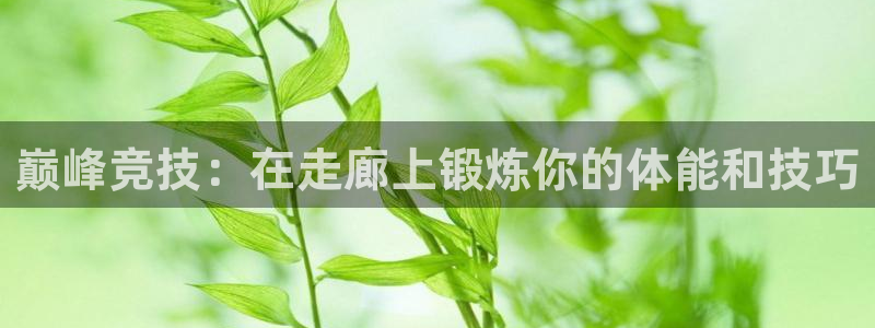 喜乐在线4平台注册：巅峰竞技：在走廊上锻炼你的体能和技巧