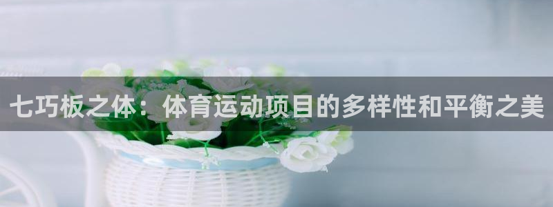 成都喜乐在线电子有限公司：七巧板之体：体育运动项目的多样性和平衡之美