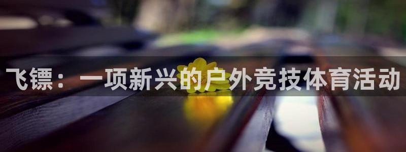 喜乐在线4官网：飞镖：一项新兴的户外竞技体育活动