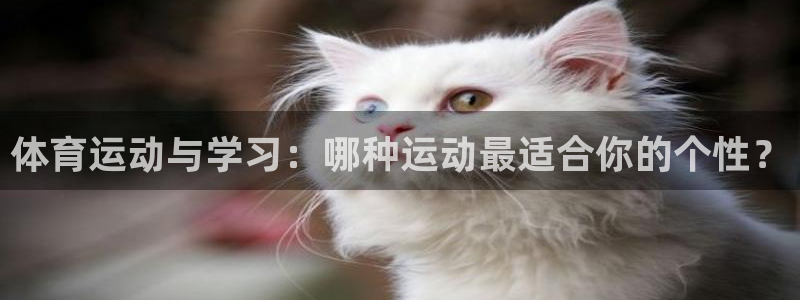 喜乐在线2平台：体育运动与学习：哪种运动最适合你的个性？