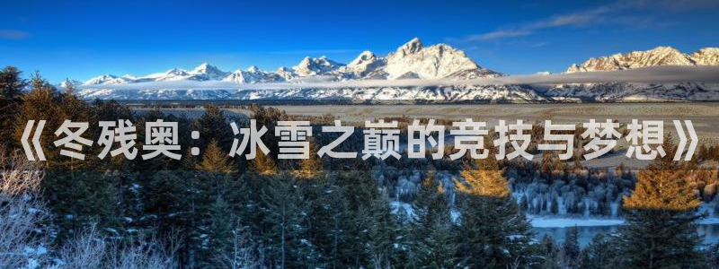 意昂平台：《冬残奥：冰雪之巅的竞技与梦想》
