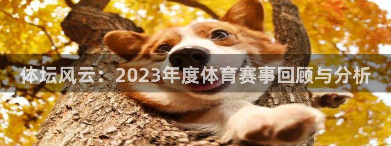 喜乐在线集团股票：体坛风云：2023年度体育赛事回顾与分析