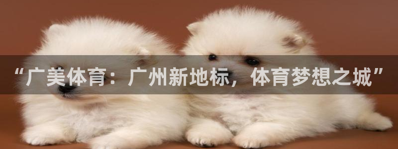 喜乐在线4登录：“广美体育：广州新地标，体育梦想之城”
