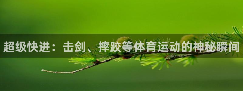 喜乐在线平台主管：超级快进：击剑、摔跤等体育运动的神秘瞬间