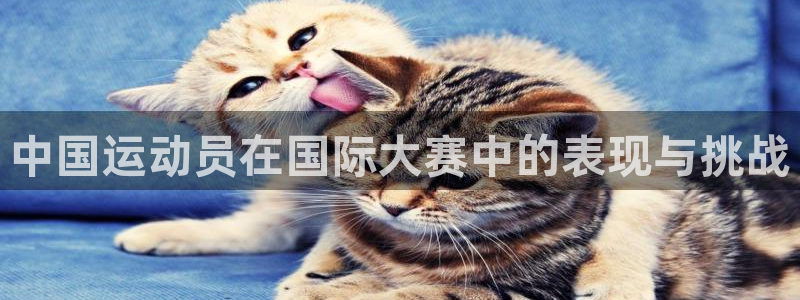 意昂4官网：中国运动员在国际大赛中的表现与挑战
