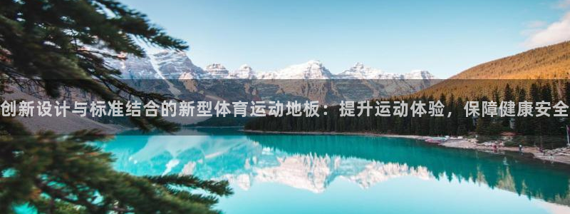 喜乐在线体育代理：创新设计与标准结合的新型体育运动地板：提升运动体验，保障健康安全