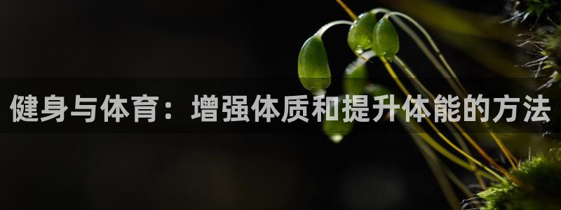 喜乐在线能源：健身与体育：增强体质和提升体能的方法