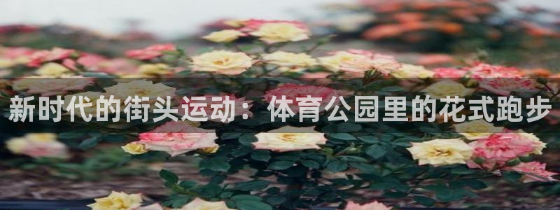 德国意昂集团：新时代的街头运动：体育公园里的花式跑步