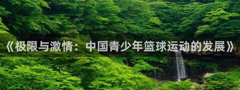 意昂的动画：《极限与激情：中国青少年篮球运动的发展》