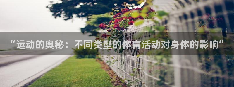 意昂总代：“运动的奥秘：不同类型的体育活动对身体的影响”