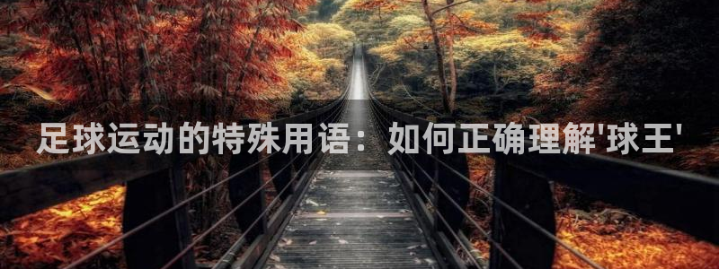 喜乐在线体育凯捷平台代理：足球运动的特殊用语：如何正确理解\'球王\'