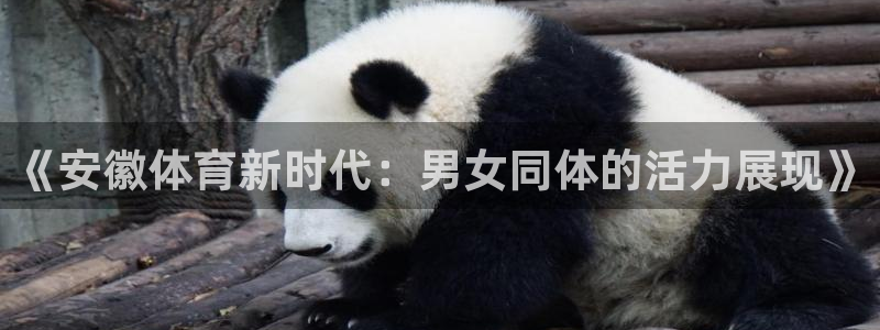 喜乐在线3：《安徽体育新时代：男女同体的活力展现》