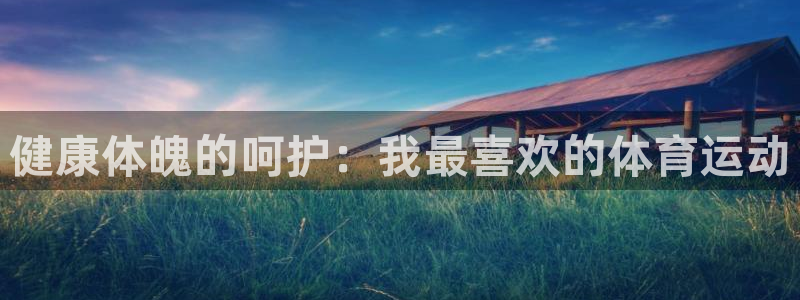 喜乐在线体育：健康体魄的呵护：我最喜欢的体育运动