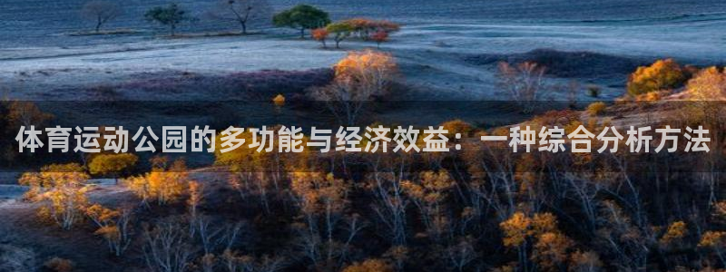意昂代理：体育运动公园的多功能与经济效益：一种综合分析方法