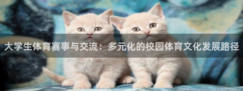 喜乐在线体育4：大学生体育赛事与交流：多元化的校园体育文化发展路径