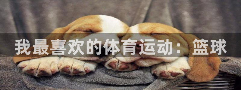 喜乐在线体育：我最喜欢的体育运动：篮球