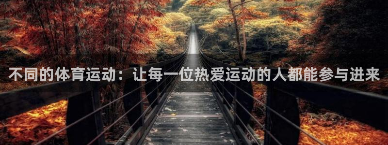 喜乐在线3登陆：不同的体育运动：让每一位热爱运动的人都能参与进来